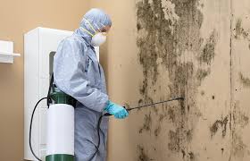 Best Mold Prevention Services in Canal Winchester, OH